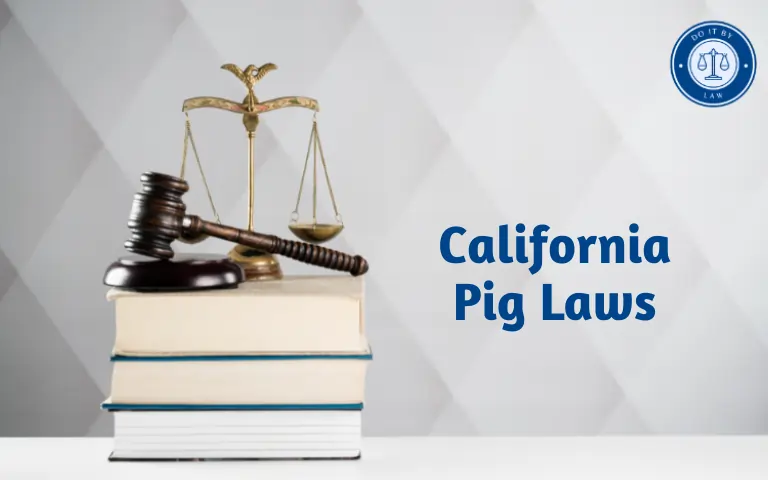 California Pig Laws