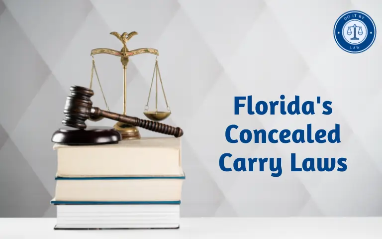 Florida's Concealed Carry Laws